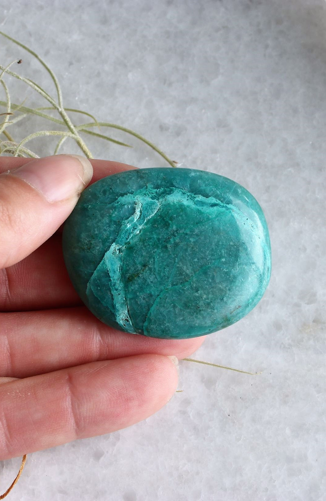 Chrysocolla Palm Stone